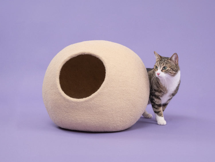 Levi Cat Cave