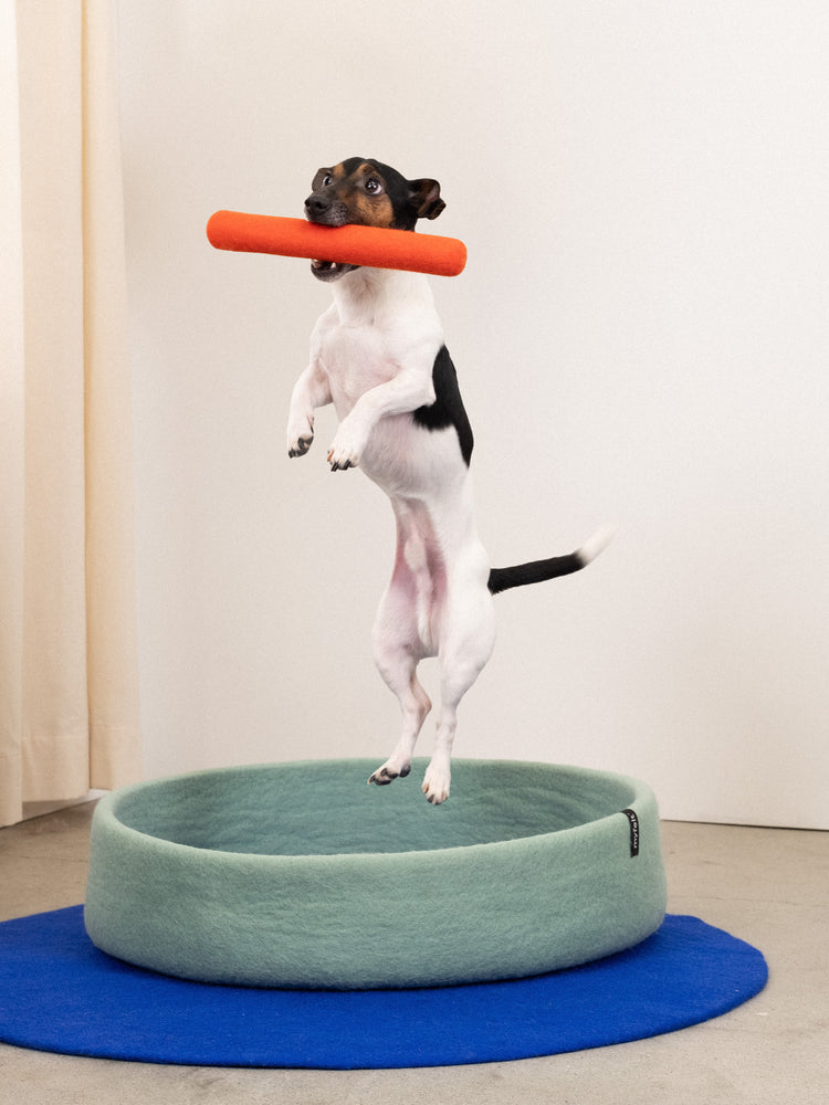 Fine Dog Toy - Stick