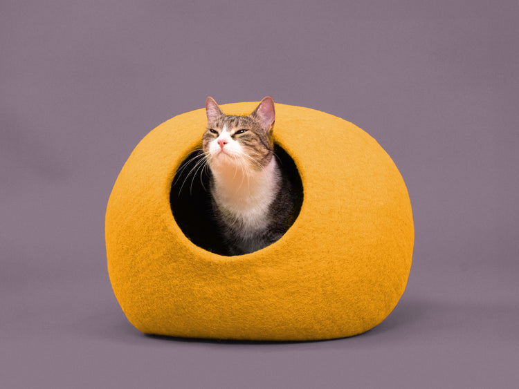 Risa Cat Cave
