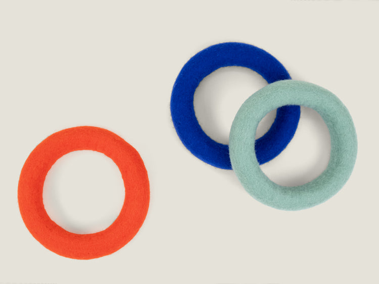 Fine Dog Toy - Ring