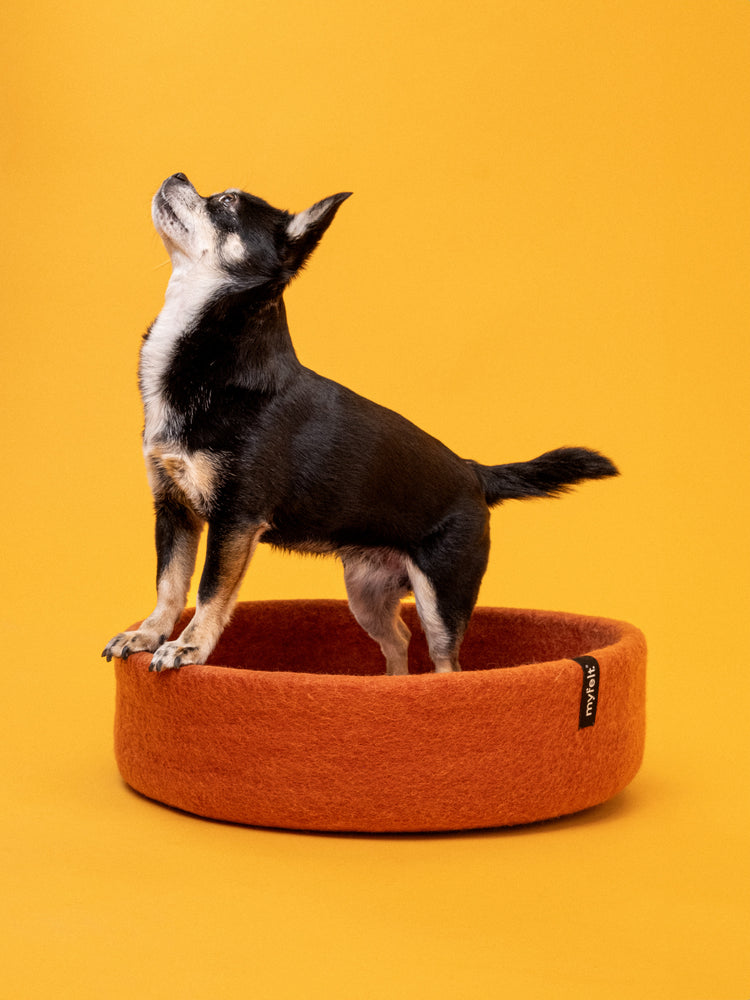 Lora Dog Basket