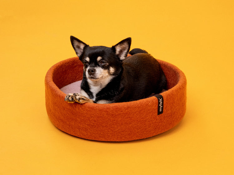 Lora Dog Basket