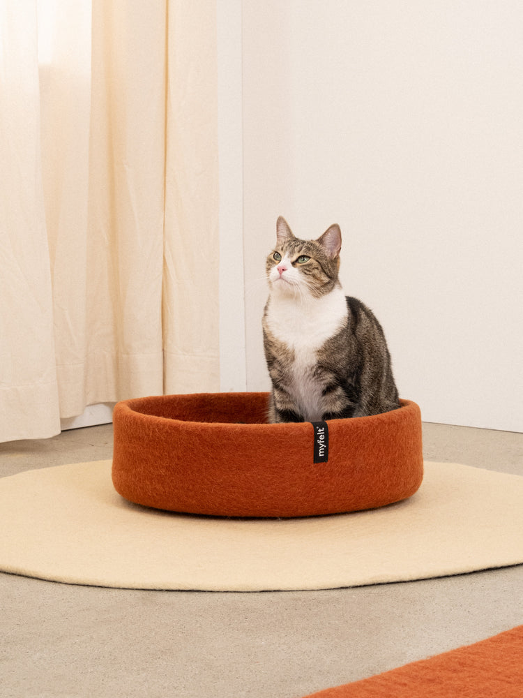 Lora Cat Basket