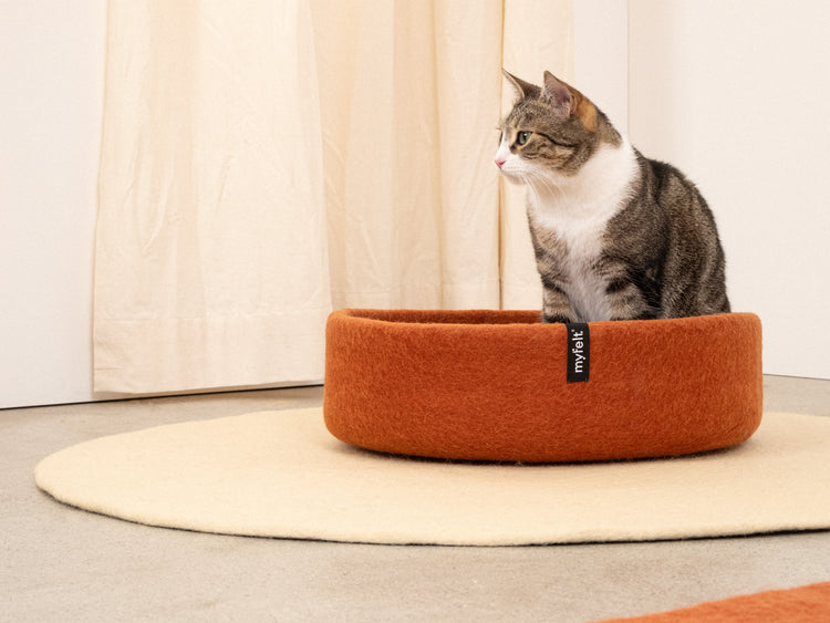 Lora Cat Basket