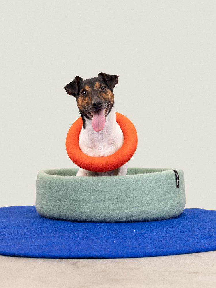 Isa Dog Toy - Ring