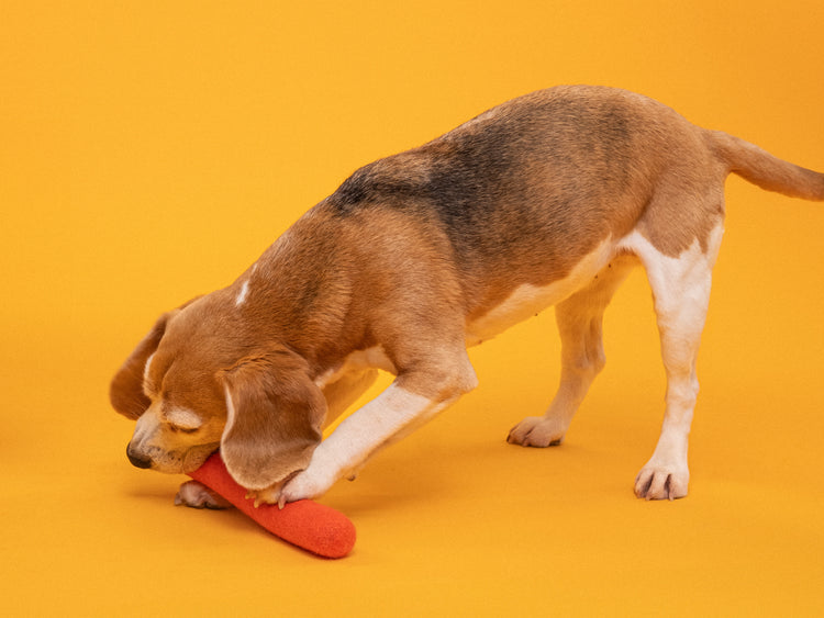 Mats Hundespielzeug - Stock